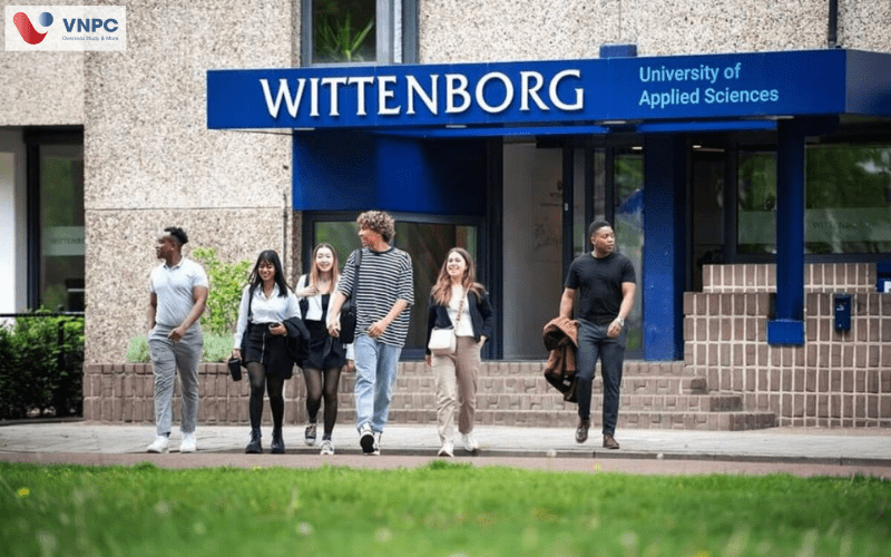 Khám phá Wittenborg University – Điểm đến lý tưởng cho hành trình du học Hà Lan
